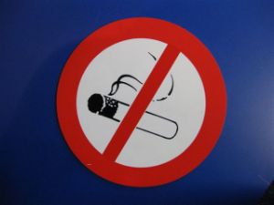 Afbeeldingen van Bord pvc roken verboden       235mm