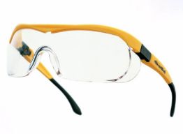 Afbeelding voor categorie Veiligheidsbrillen