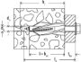 Afbeeldingen van fischer Gasbetonplug GB10